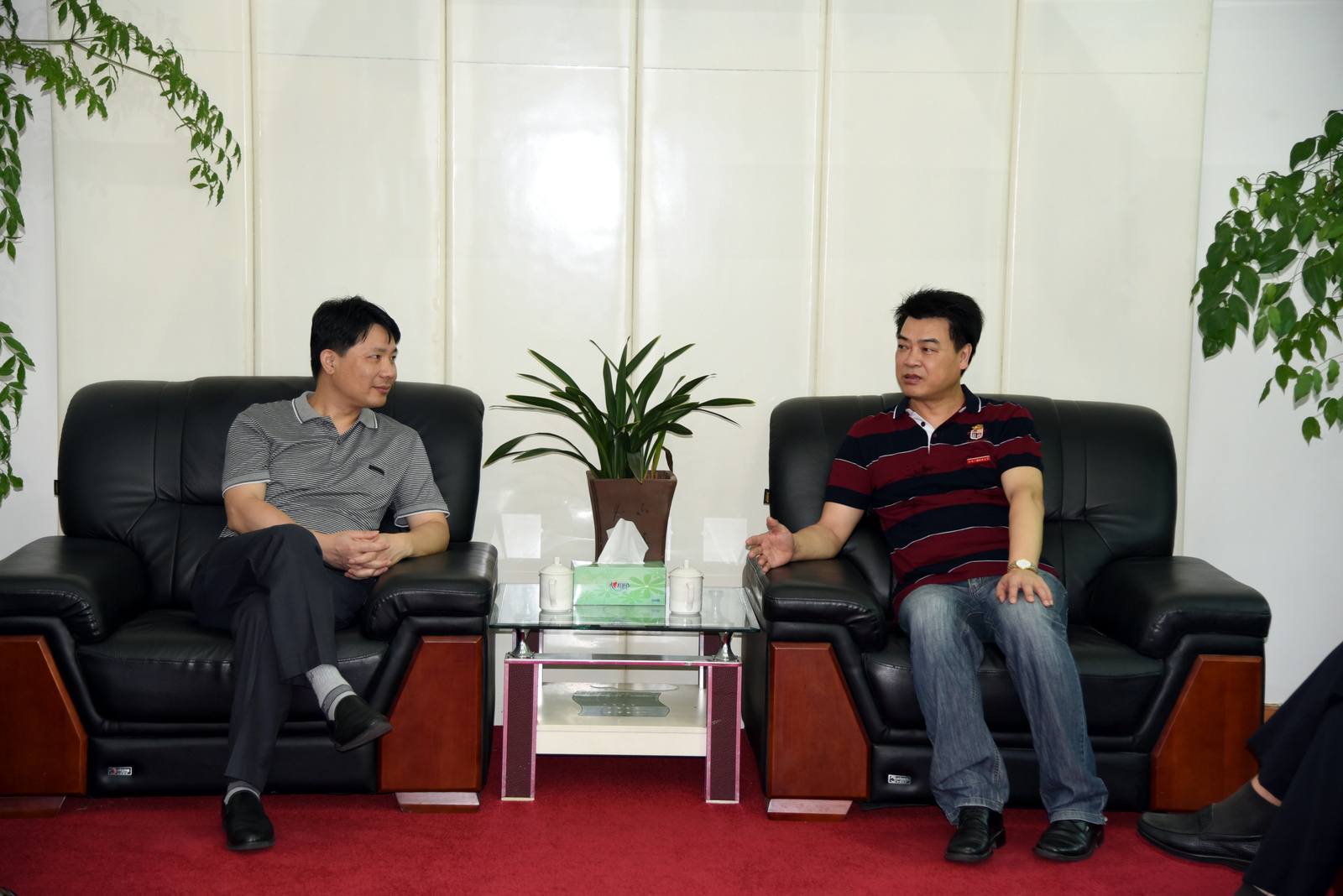 马书记会见鼓楼区陈副书记